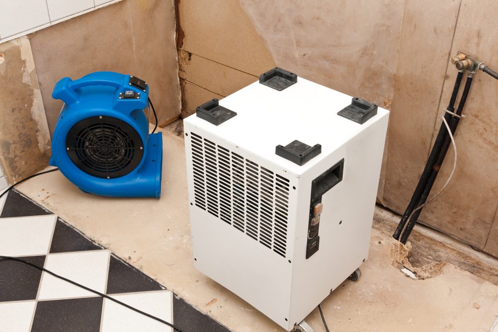 Air movers and dehumidifier drying a room