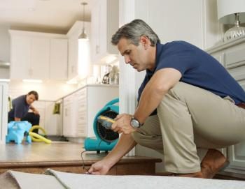 Water restoration technician inspecting a Brooklyn home